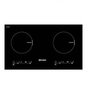 Bếp từ Faber FB-2INS