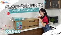 Bộ chậu vòi GrandX GX8050JP HIKARI và GXF03 – Giải pháp hoàn thiện không gian bếp hiện đại