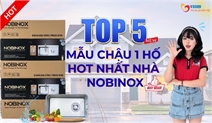 Nên Mua Chậu 1 Hố Nobinox Nào? Top 5 Mẫu Đáng Cân Nhắc Nhất 2026
