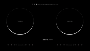 Bếp từ đơn Fandi FD - 225I