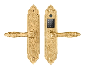 Khóa vân tay tân cổ Demax EL350 24k Gold Của Đức App TTlock