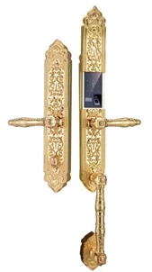 Khóa cửa vân tay tân cổ Demax SL899 Gold