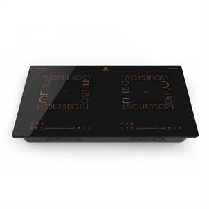 Bếp từ Hawonkoo CEH-288