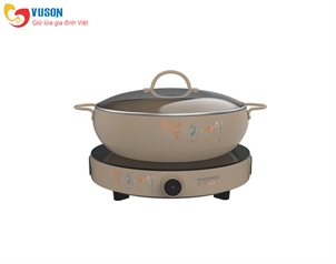 Bếp từ đơn Hawonkoo CEH-101-I-CF