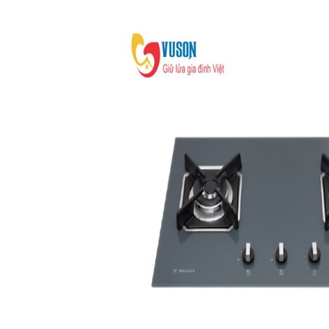 Bếp gas âm Malloca AS 9602DG