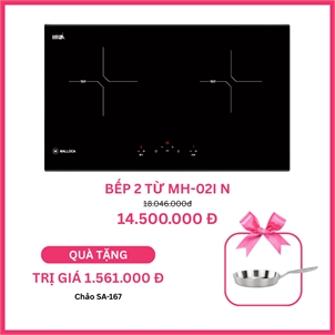 Bếp từ Malloca MH-02I N