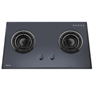 Bếp gas Rinnai RVB-2iFE(B)