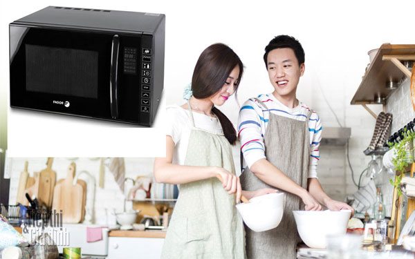 Lò vi sóng kém nướng Fagor chiết khấu 30% tại Vũ Sơn
