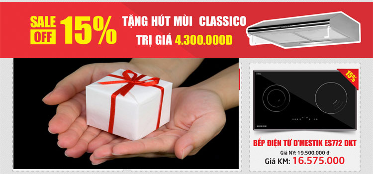 Lựa chọn bếp điện từ Dmestik cho tết Đinh Dậu