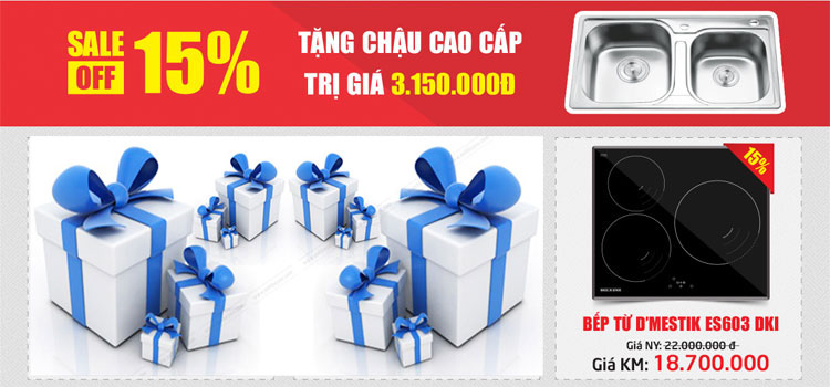 Lựa chọn bếp điện từ Dmestik cho tết Đinh Dậu