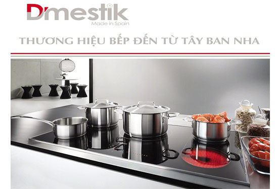 Hân hoan đón Tết cùng bếp từ Dmestik