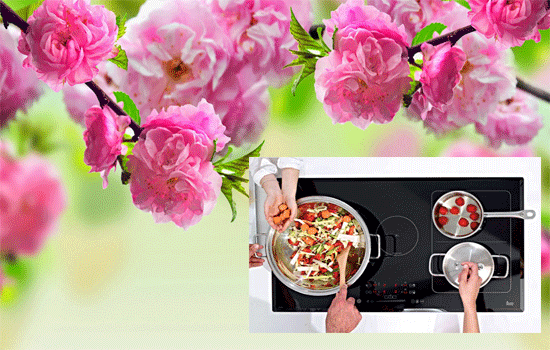 Chọn bếp từ cho ngày Tết an toàn và tiết kiệm Chọn bếp từ cho ngày Tết an toàn và tiết kiệm