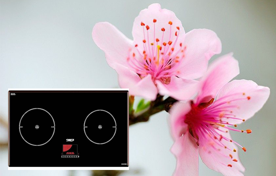  Bếp từ Chefs cho xuân thêm ý nghĩa bên gia đình