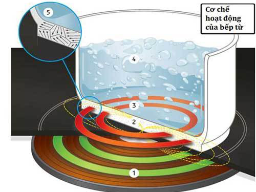Sự thật dùng bếp từ có rẻ hơn bếp gas không? Sự thật dùng bếp từ có rẻ hơn bếp gas không?