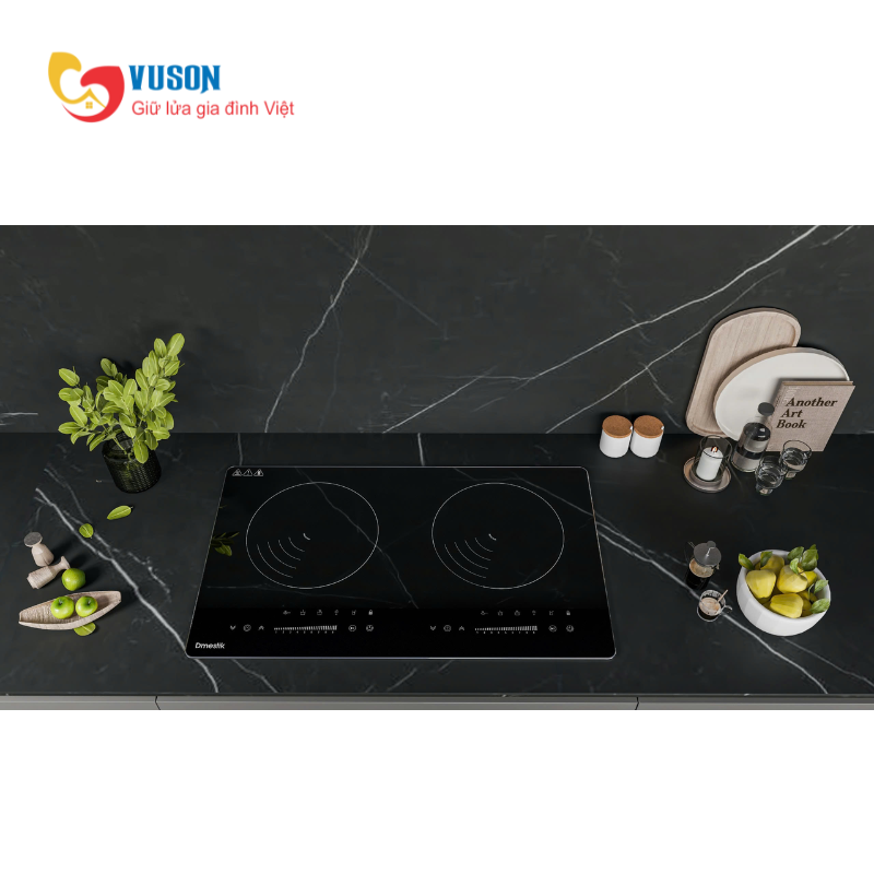Bếp từ Dmestik TL 232DMK