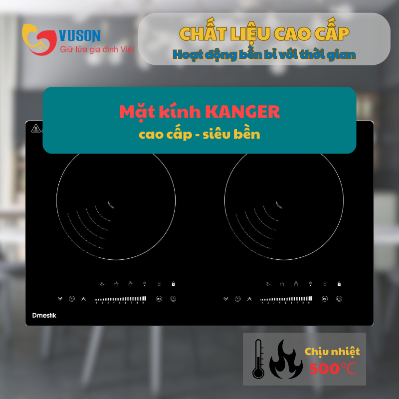 Bếp từ Dmestik TL 232DMK