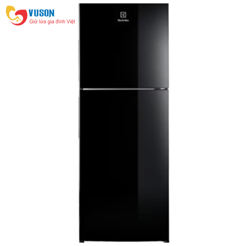 Tủ lạnh Electrolux ETB2502J-H