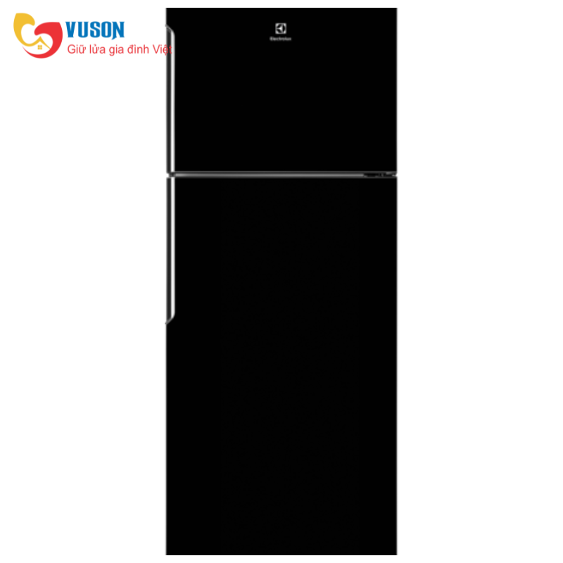 Tủ lạnh Electrolux ETB4600B-H