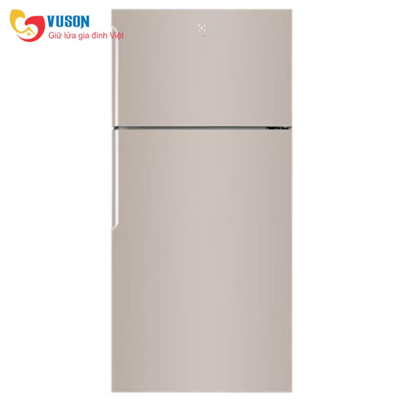Tủ lạnh Electrolux ETB5400B-G