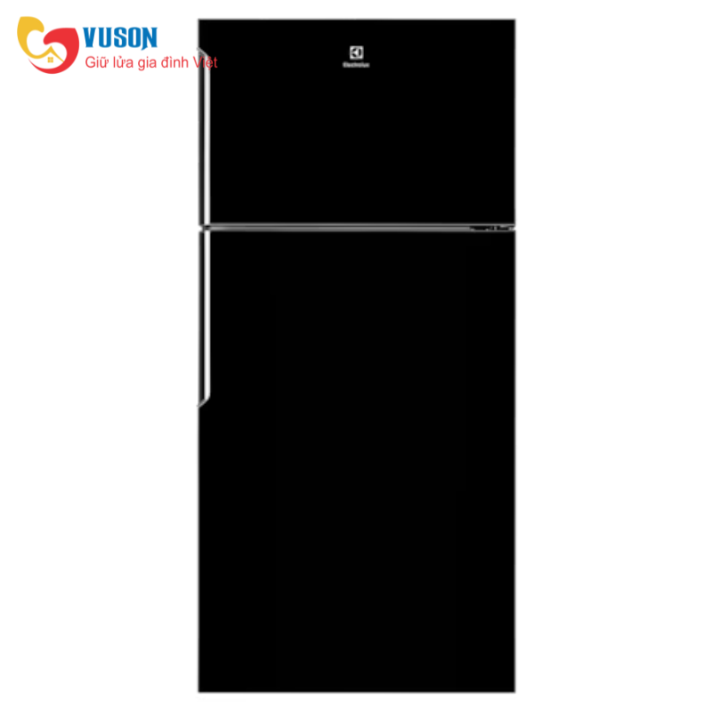 Tủ lạnh Electrolux ETB5400B-H