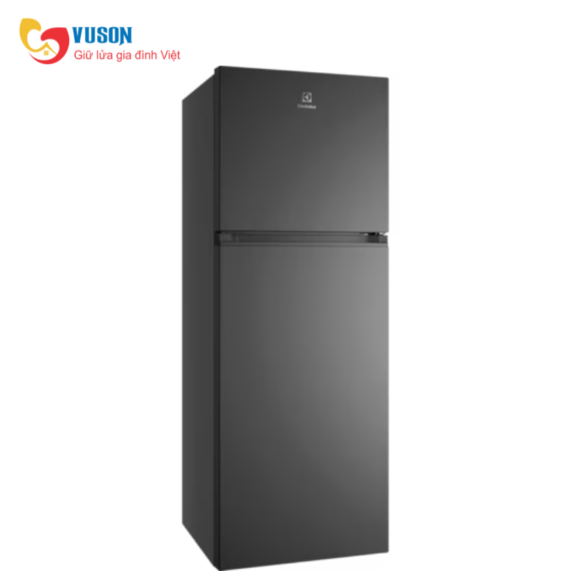 Tủ lạnh Electrolux ETM3100L-B