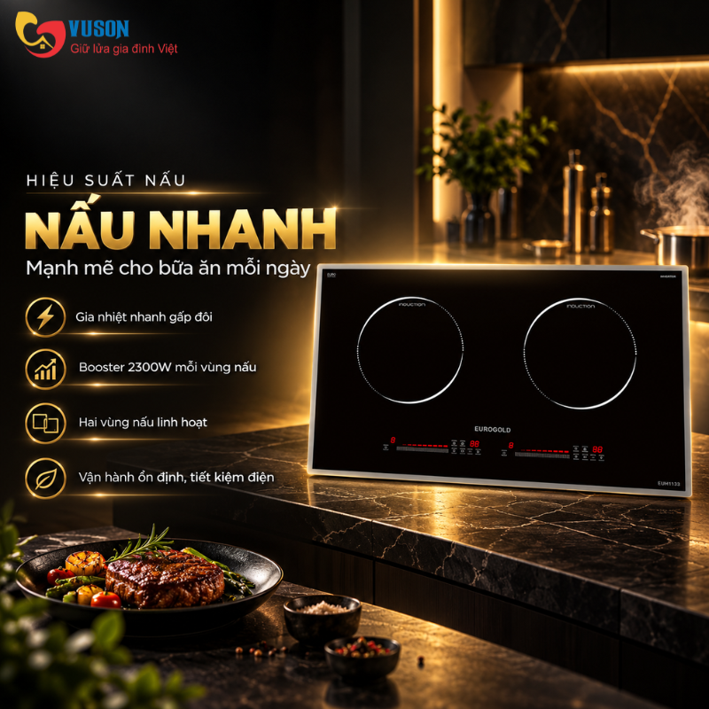 Bếp từ Eurogold EUH1133