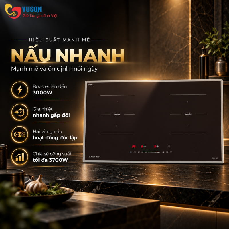Bếp từ Eurogold EUH2266