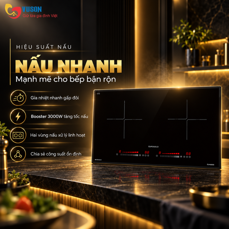 Bếp từ Eurogold EUH6800