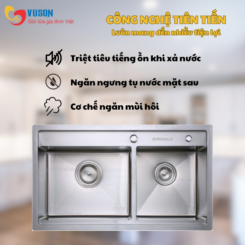 Chậu rửa bát Eurogold EUP28248