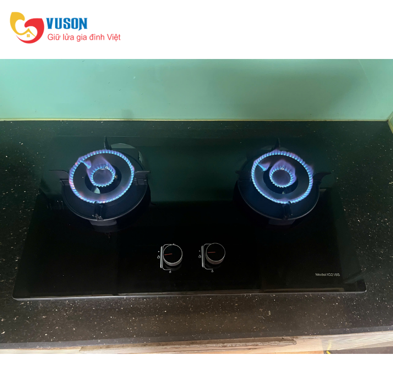 Bếp gas Faster IG 218S