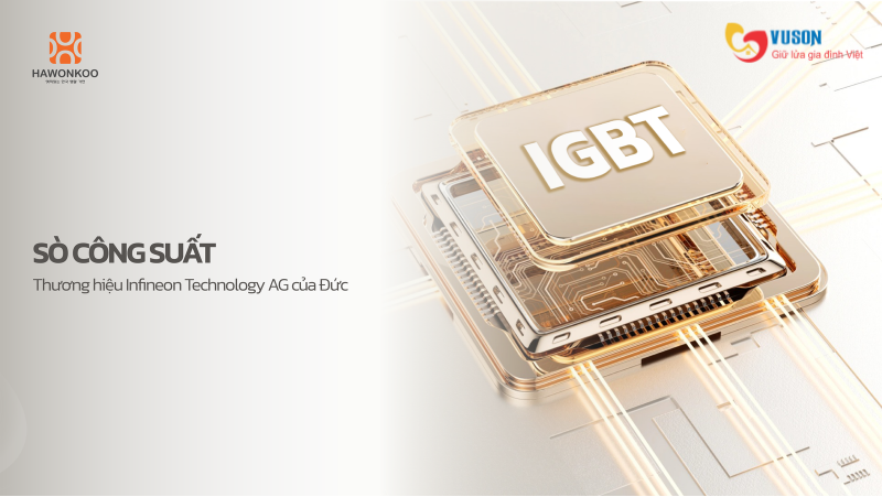 Bếp từ Hawonkoo CEH-269