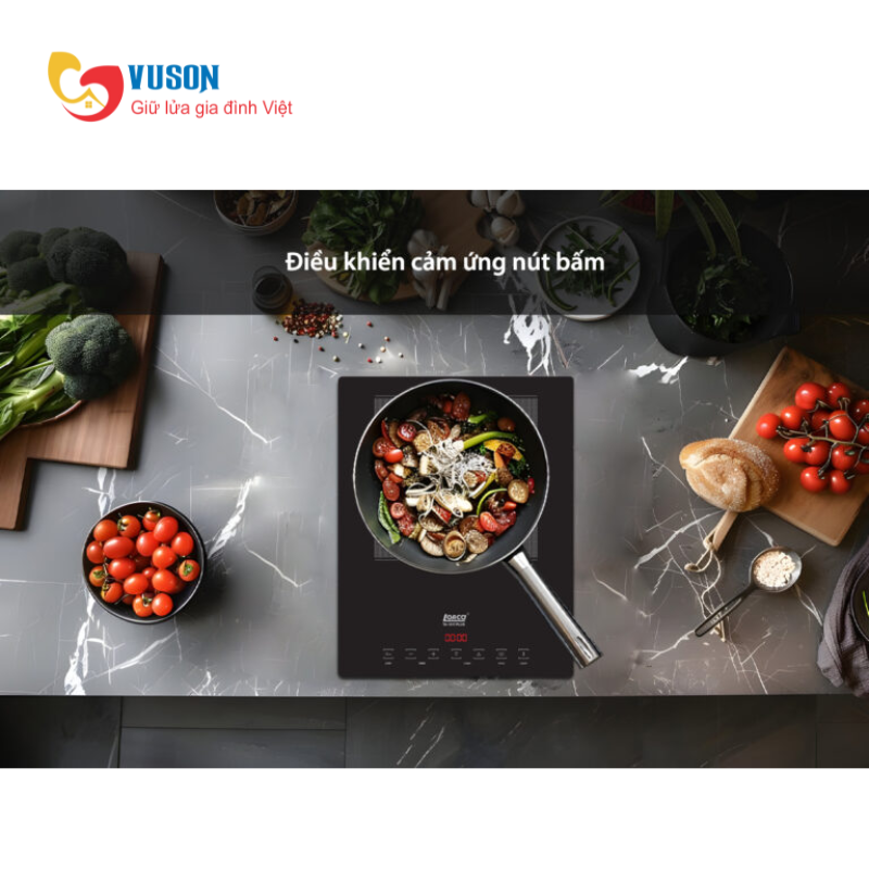 Bếp từ đơn Lorca TA 1017 PLUS