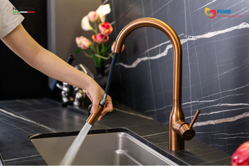 Vòi rửa bát NOBINOX AQUA NX662T