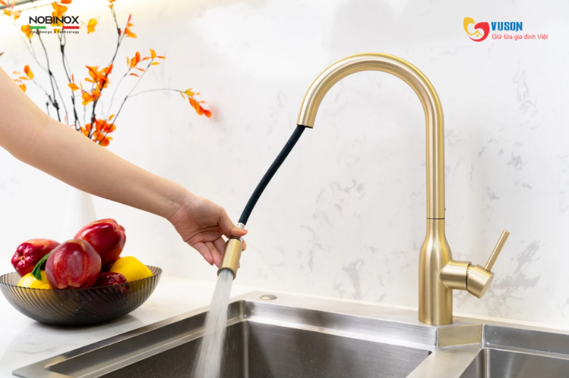 Vòi rửa bát NOBINOX AQUA NX663V